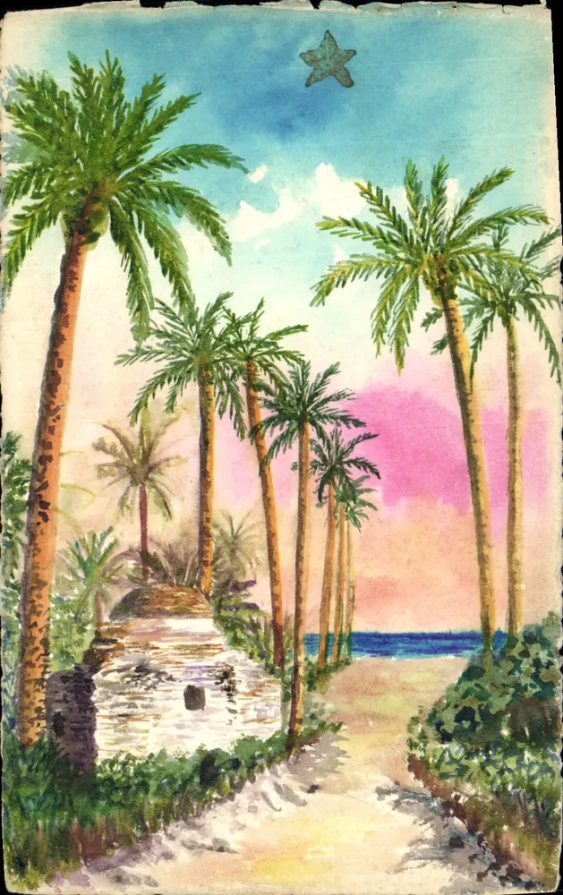 Tropischer Landschaft mit Palmen — Sternenhimmel — französische Karteikarte - Vorderseite