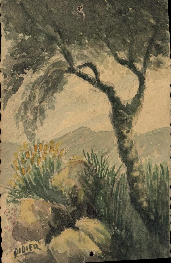 Mediterraner Landschaft — Baum und Felsen — Werk von Didien - Vorderseite