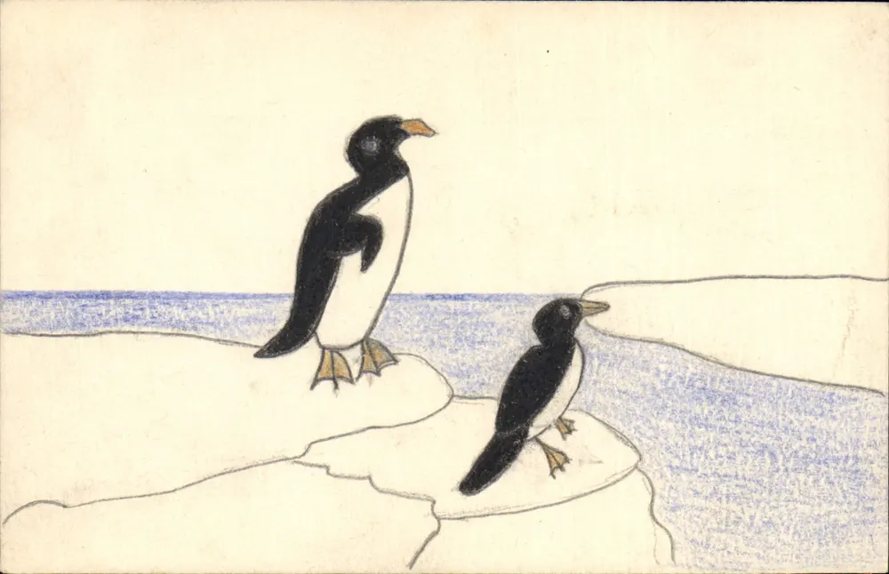 Zwei Pinguine auf einem Felsen — einfache Illustration — Verlag nicht sichtbar - Vorderseite