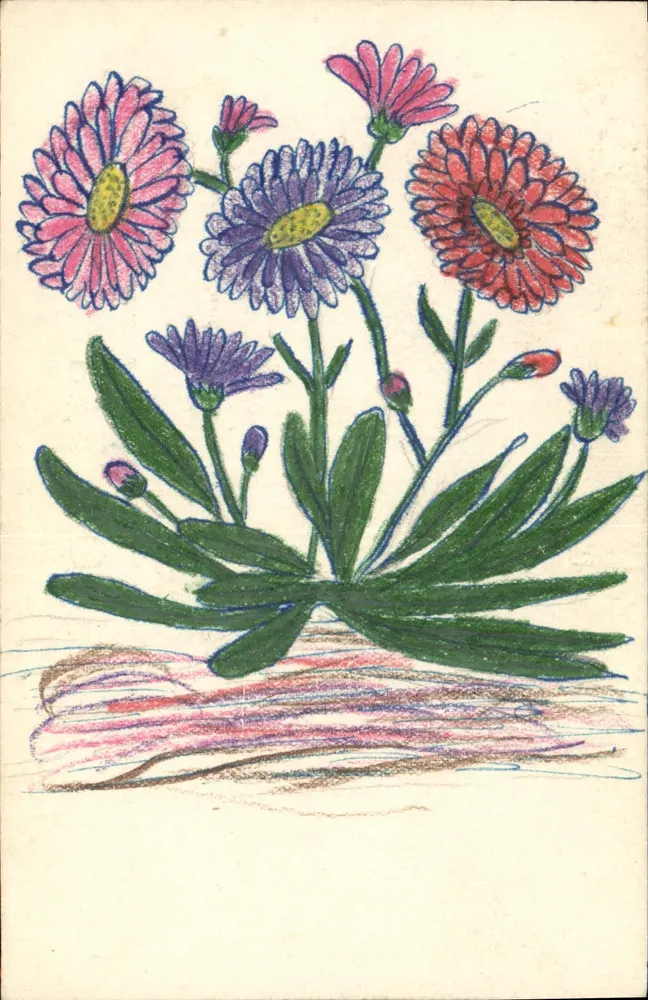 Farbenfrohe Blumen — Bleistiftzeichnung — Karteikarte - Vorderseite