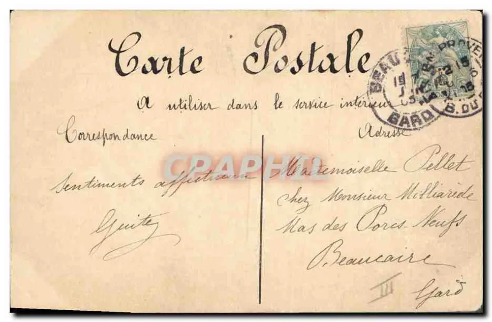 Rosa Blüten — Illustration — Postkarte - Rückseite