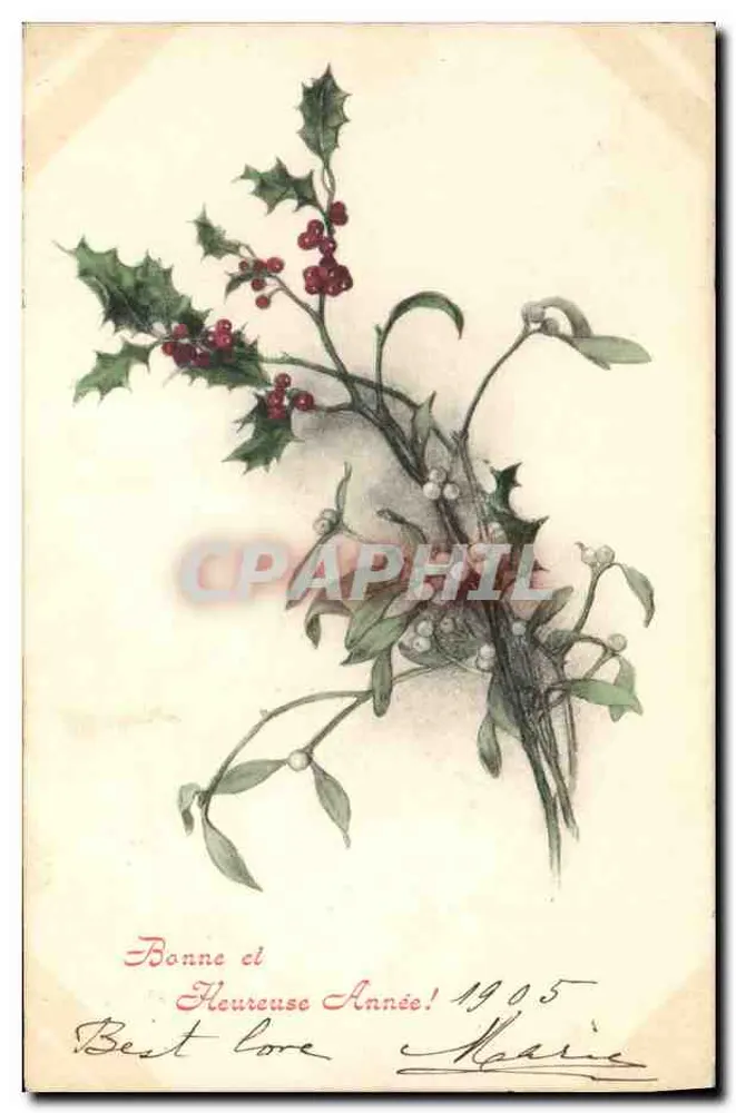 Arranjo de hortência e louro — Carta de vœux 1905 — M.M. Viena, n° 201 - Frente
