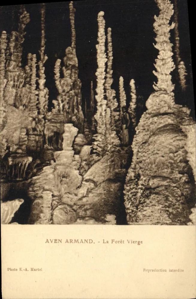 Aven Armand — Die Jungfrau Wald — Foto E.-A. Martel - Vorderseite