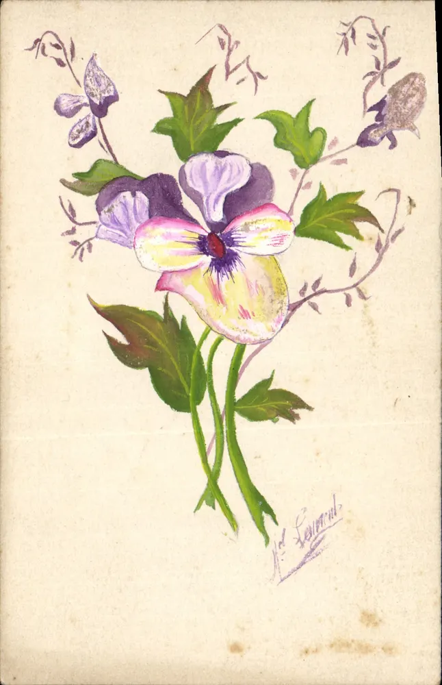 Violettblüte — Aquarellzeichnung — signiert M.° Levernul - Vorderseite