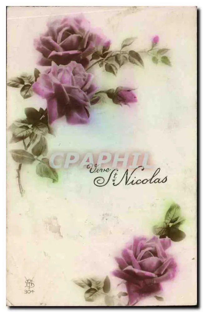 Rosen — VIVE ST NICOLAS — 304 - Voorkant