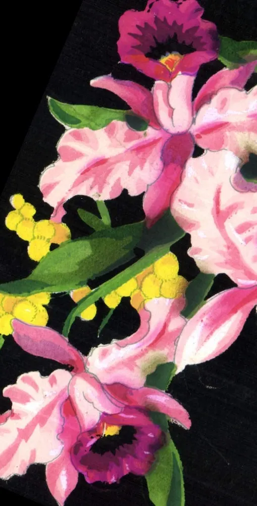 Orchideen und Mimose — Illustration — in Frankreich gedruckt - Vorderseite