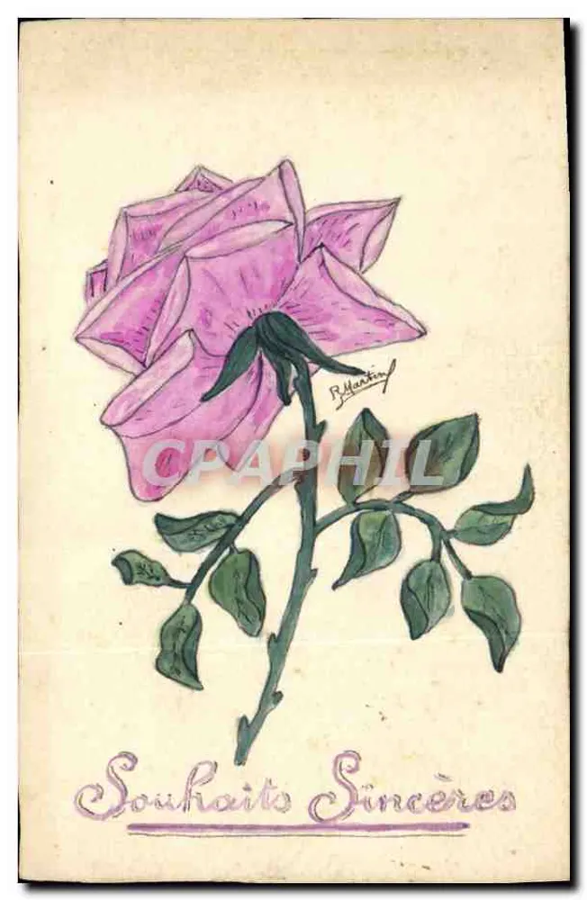 Violette Rose — Aufrichtige Wünsche — R. Munting - Vorderseite