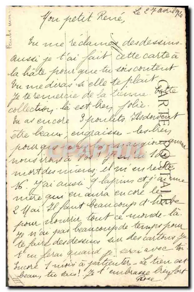 Reneé — gezeichnete Rose — R. Rand - Rückseite