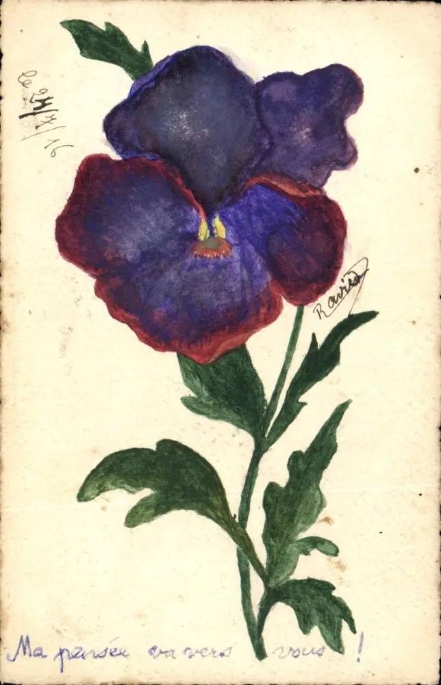 Blaue Vergissmeinnicht — Aquarellzeichnung — unterschrieben von 'Ranier' und datiert 24/11/1916 - Vorderseite