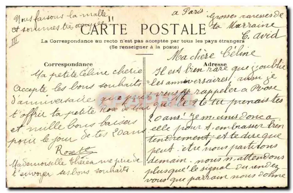 Blaue Vergissmeinnicht — Aquarellzeichnung — unterschrieben von 'Ranier' und datiert 24/11/1916 - Rückseite