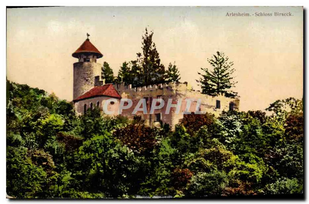 Arlesheim - Castelo de Birseck — castelo forte em colina florestada - Frente