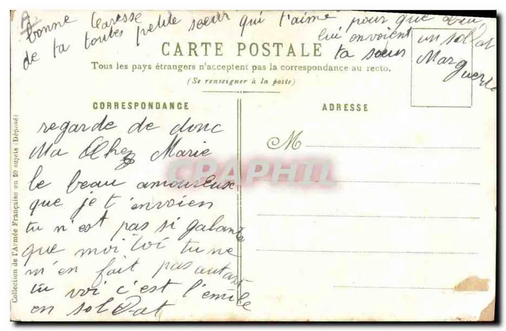 Linieninfanterie (Pauker) — A. Palm de Rosa, n°39 - Rückseite