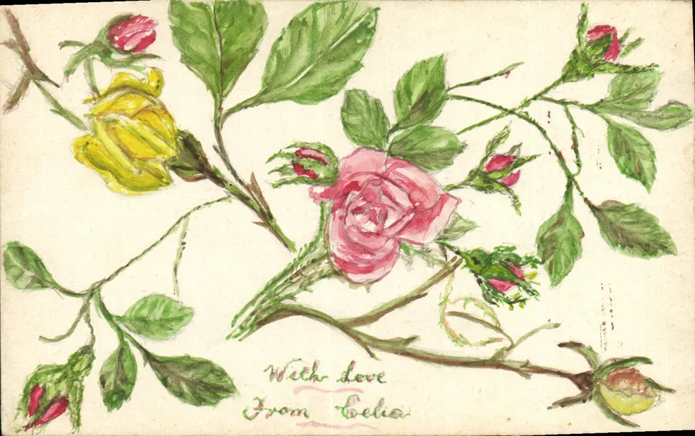 Roseblüten — Aquarellzeichnung — Verlag unbekannt - Vorderseite