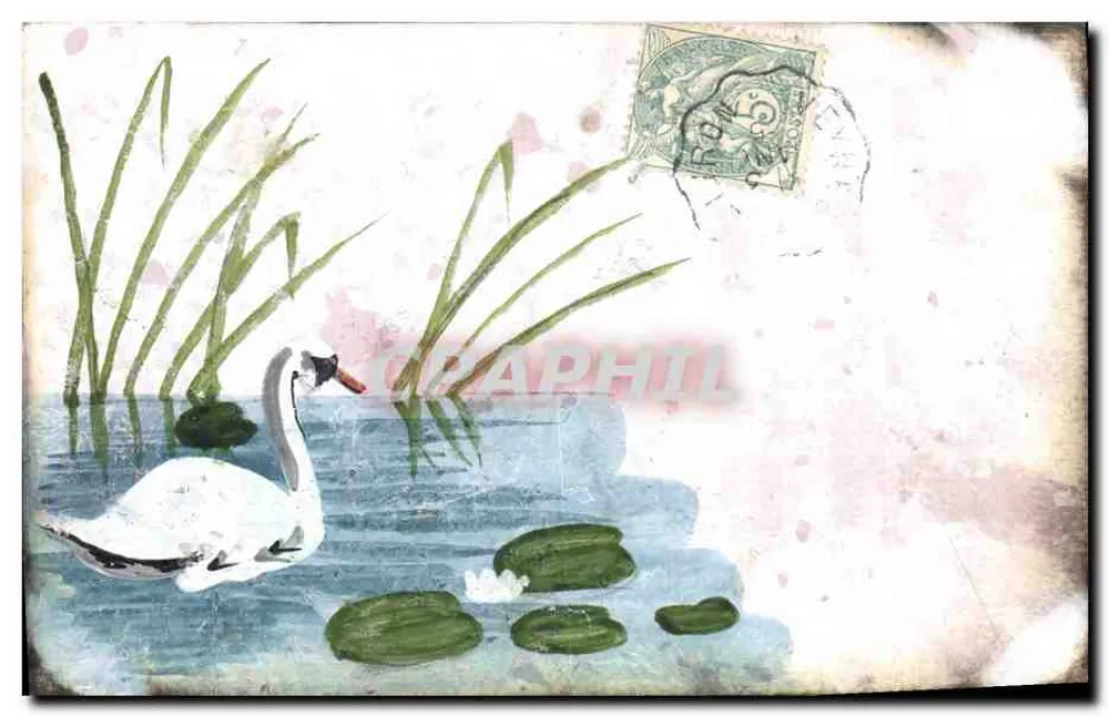 Schwan in einem Teich — Illustration — Verlag nicht sichtbar - Vorderseite