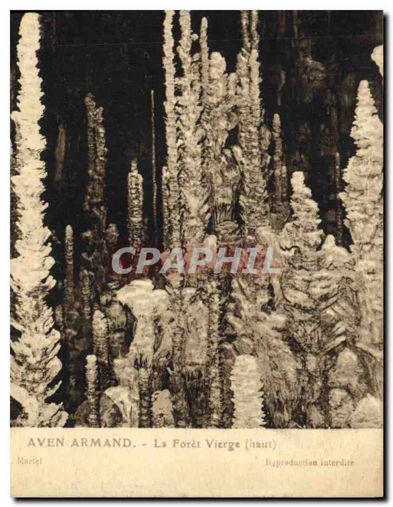 Aven Armand - La Forêt Vierge (haut) - Martel - Recto