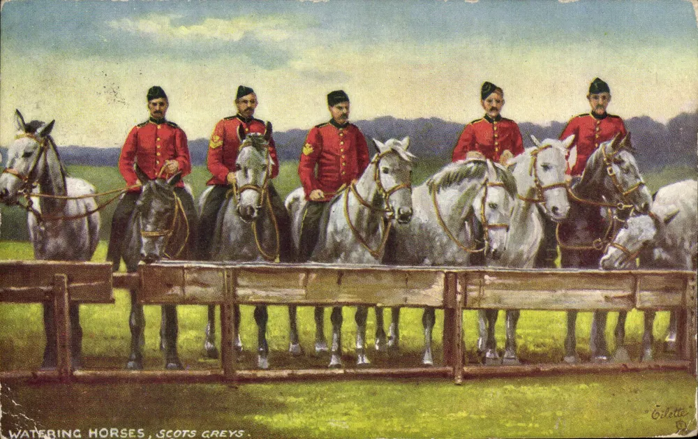 Caballos de la Cavallería Escocesa que beben — Editor Oilette, n°11 - Anverso