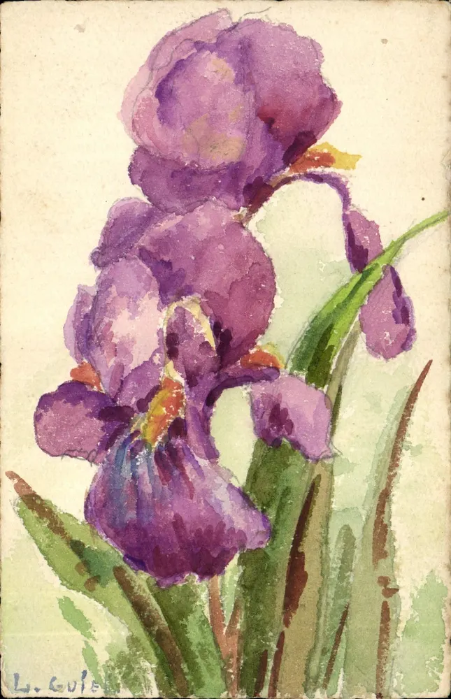 Iris — Aquarell — L. Guile, Nr. 39, Universal Postal Union - Vorderseite