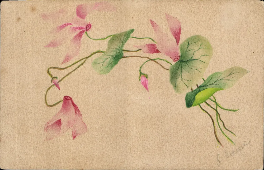 Rosa Blüten und grüne Blätter — Aquarellzeichnung — Signiert 'F. Bonnafé' — Verlag nicht sichtbar - Vorderseite