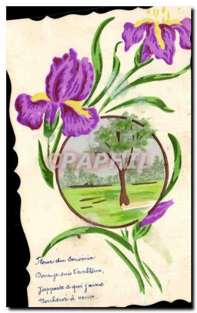 Iris — Blume des Boiverain — handschriftliche Ansichtskarte - Vorderseite