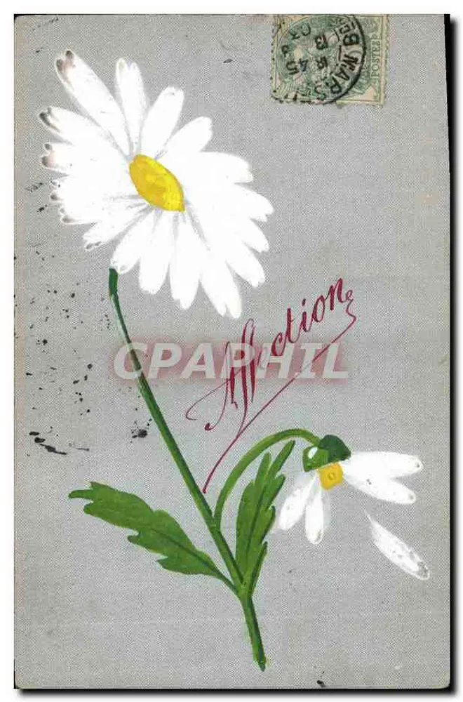 Margarite — Zärtlichkeit — Verlag A. H. - Deposit - Vorderseite