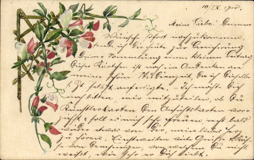 Blüten von Erbsen an der Ecke — datierte Karte 10/IX/1900 — Verlag nicht sichtbar - Vorderseite