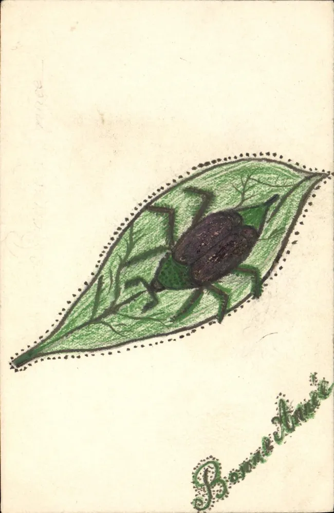Insecto sobre hoja — Buena Año — Tarjeta postal anónima - Anverso
