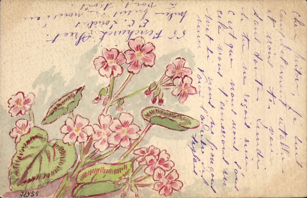 Frühlingsblumen — Illustration — A. LLYSS - Vorderseite