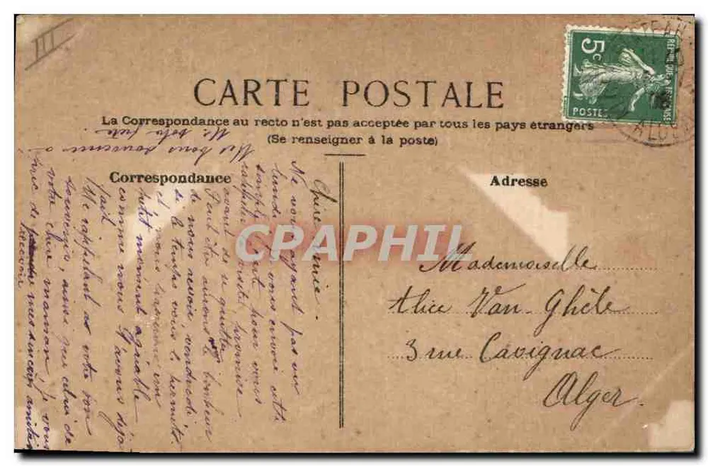 Blumen und Bienen — AotoBinette 1903 — kein Verlag oder Serie sichtbar - Rückseite