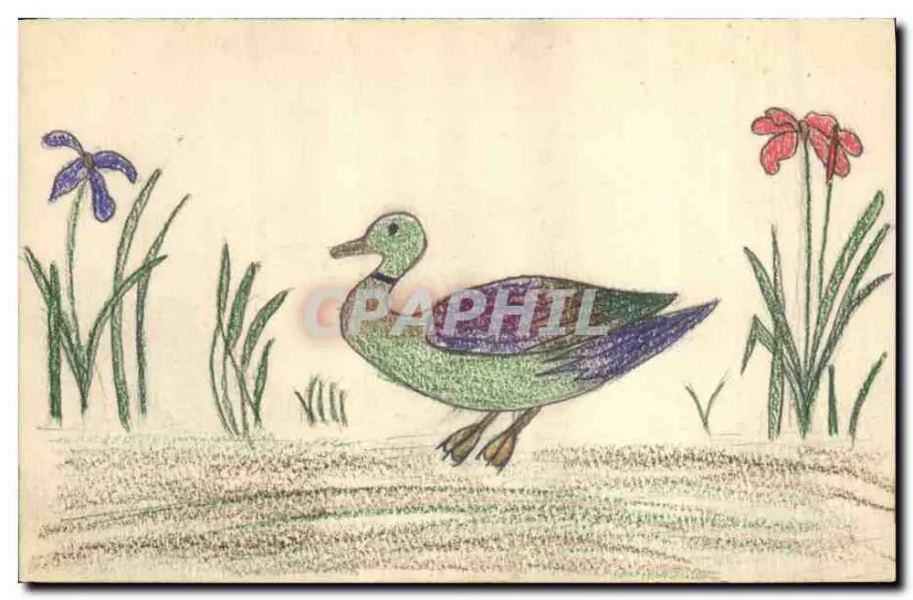 Ente in einem Blumendekor — Pastellzeichnung — Verleger nicht sichtbar - Vorderseite