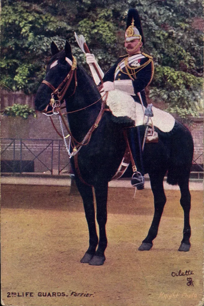2nd Life Guards — Forrier — Oilette Knight Photo - Frente