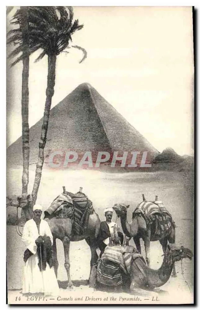 Egypte — Kameleons en Gidsen bij de Piramiden — LL. N°14 - Voorkant