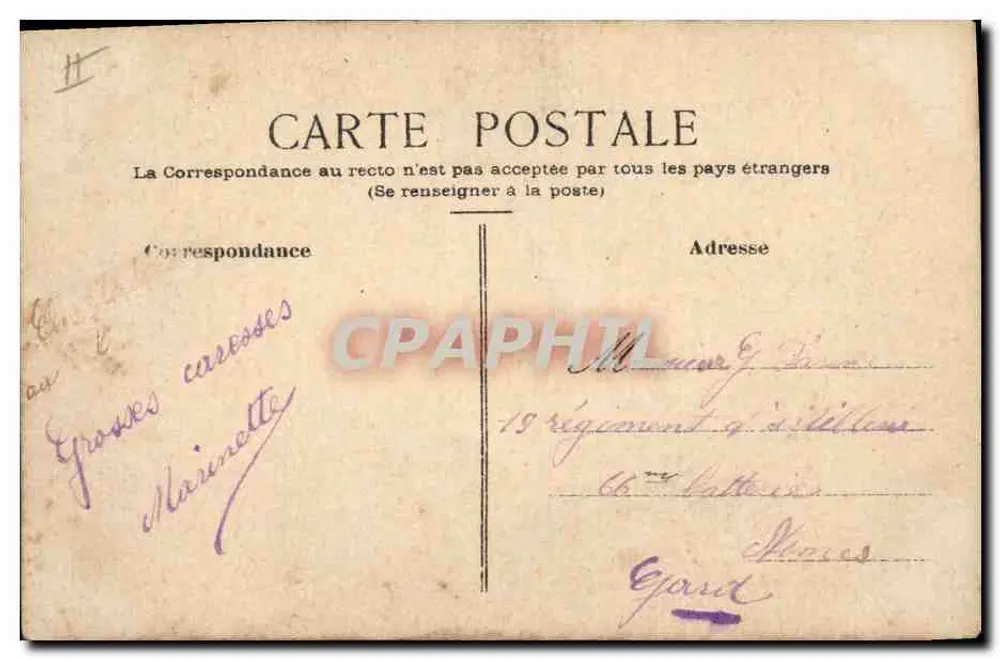 Kardenblüten — Federzeichnung in Farbe — unterzeichnet 'Marinet' — um 1910 - Rückseite
