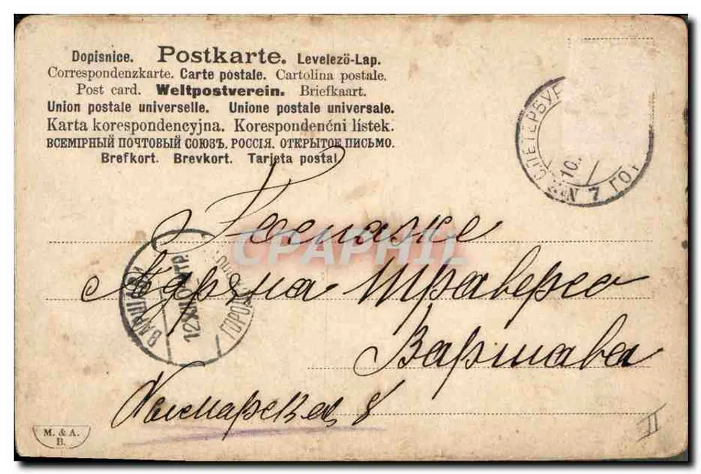 Violette Blume — Illustration — unbekannter Verleger - Rückseite