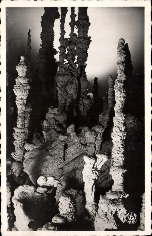 Aven d'Orgnac — Stalagmitengruppe — Detail — (—60) — Photo Albert Perrin (Gard) - Vorderseite