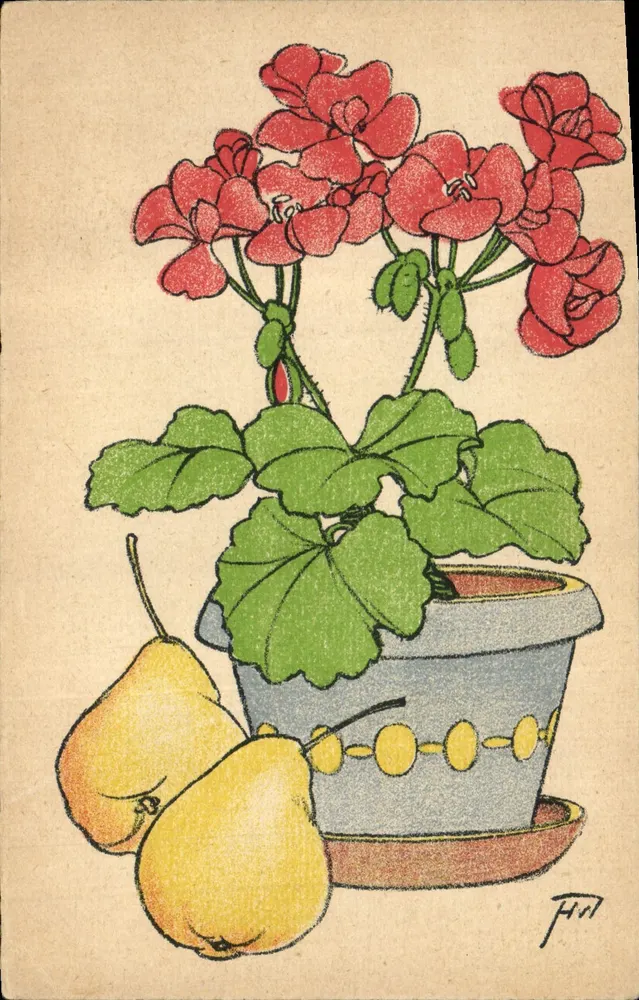 Gerânio em vaso com pêssegos — ilustração — assinado 'F.H.' - Frente