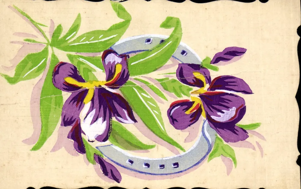 Iris und Sporn — Illustration — Verlag und Seriennummer nicht lesbar - Vorderseite