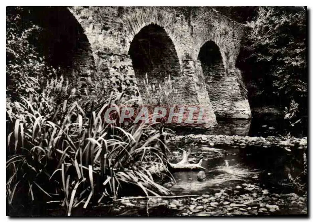 Chantonnay — Alte mittelalterliche Brücke — Éditions Artistiques Raymond Bergevin - Vorderseite