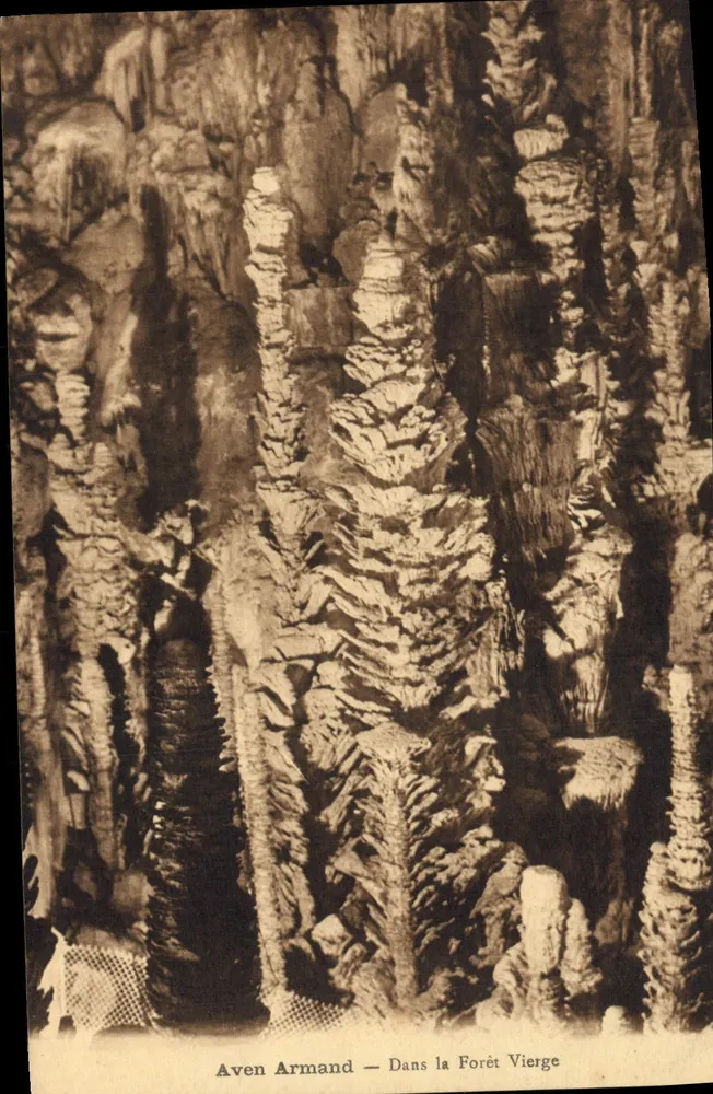Aven Armand — Blick in den Urwald — Verlag: Soc. des Arts du Tourisme - Vorderseite