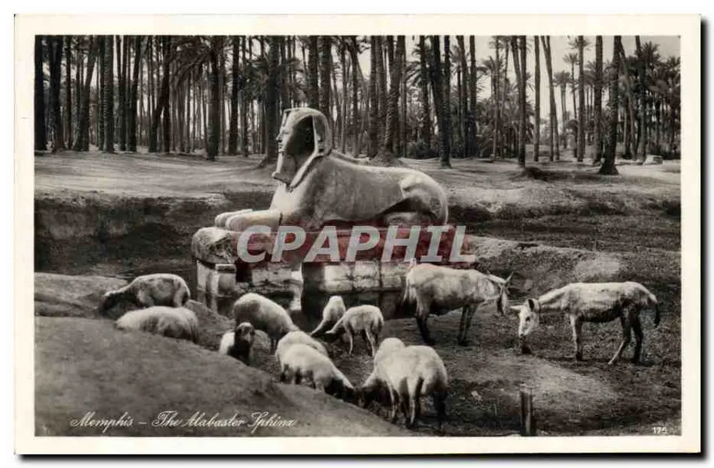 मेम्फिस - एलेबेस्टर स्फिंक्स — प्रकाशक लेहनर्ट एवं लैंडरॉक, संख्या 175 - आगे