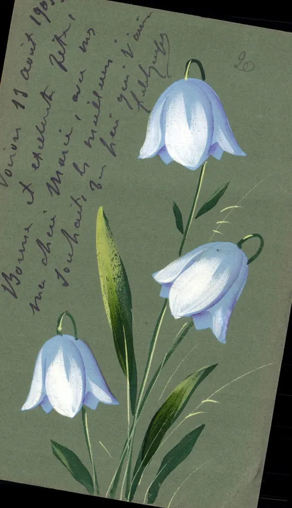 Campanulen — Illustration — Postkarte – Postkarte (Universal Postal Union) - Vorderseite