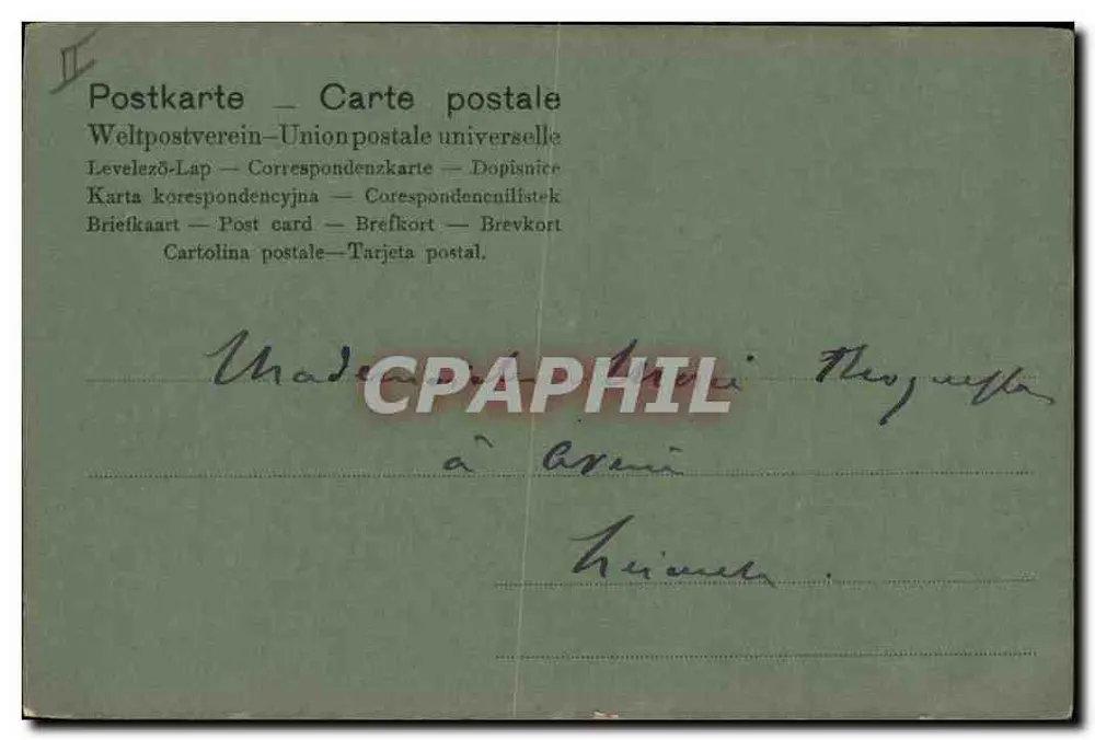 Campanulen — Illustration — Postkarte – Postkarte (Universal Postal Union) - Rückseite