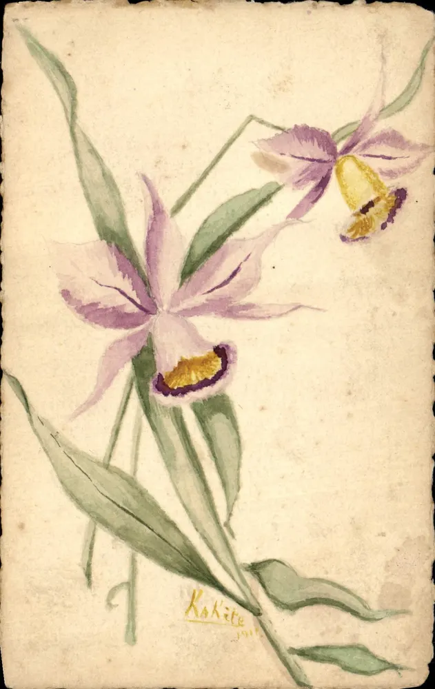 Orchidee — Aquarellzeichnung — Kakite, 1911 - Vorderseite
