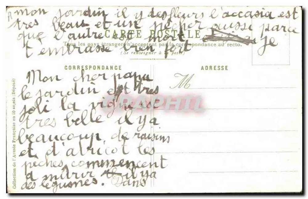 Zouave mit Schusswaffe — A. Palm de Rosa, n°33 - Rückseite