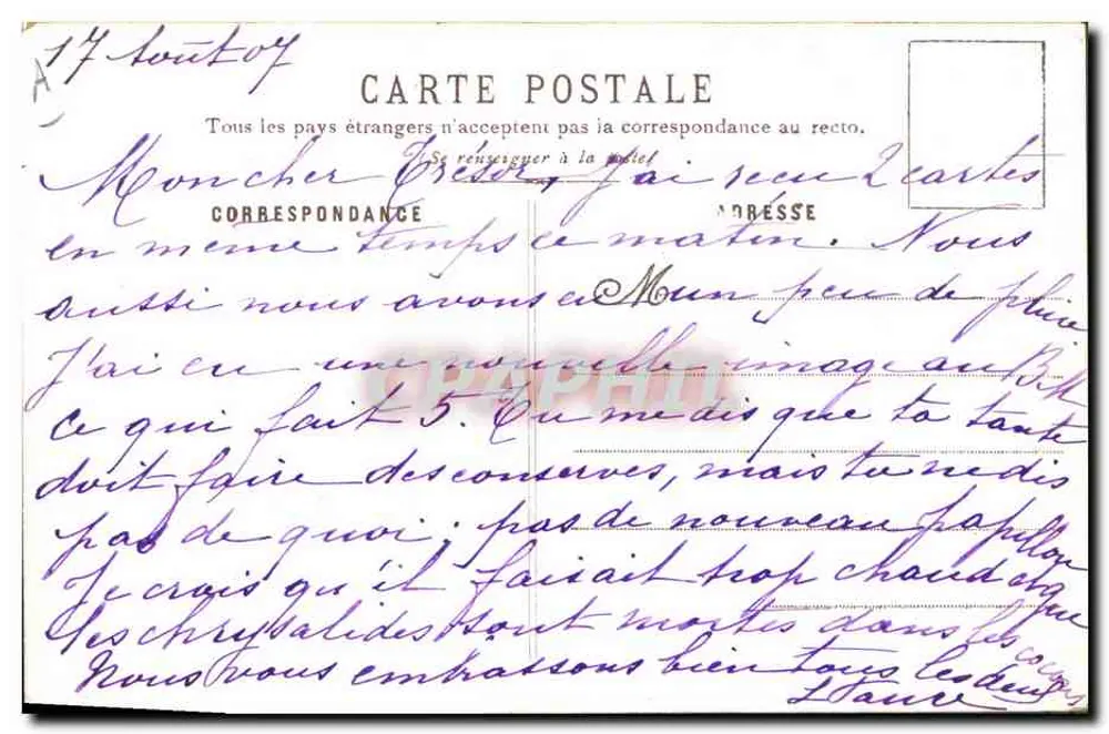 Fußsoldat — A. Palm de Rosa, n°12 - Rückseite