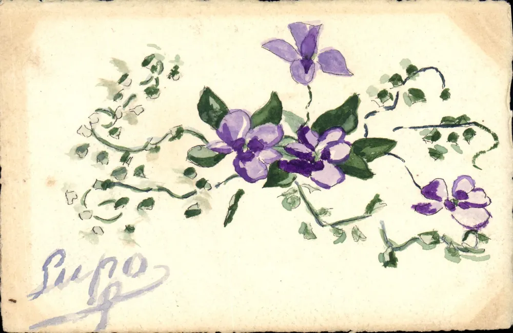 Violettblüten — Aquarellzeichnung — Signiert 'Rupo' — Verleger - Vorderseite