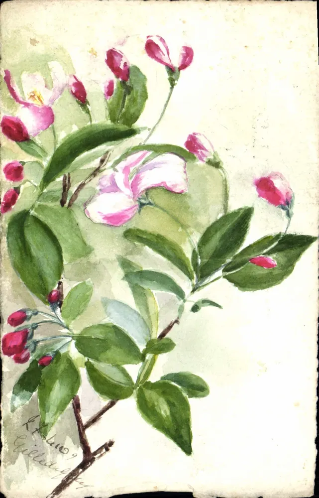 Apfelblüten — Aquarell — Gilles de Puy-Dard - Vorderseite