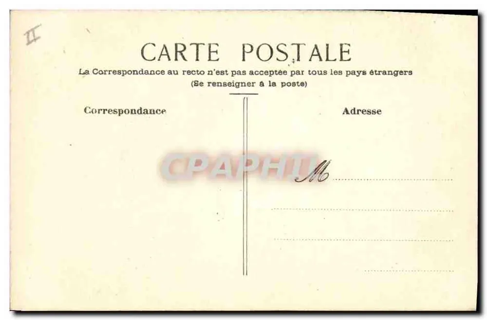 Oiseau exotique sur branche — dessin à crayons de couleur — carte postale vierge - Verso