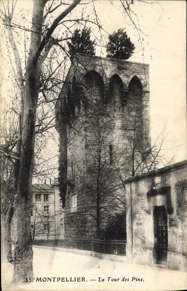 Montpellier — Torre dos Pinhos — Editor: Novas Galerias, n°15 - Frente