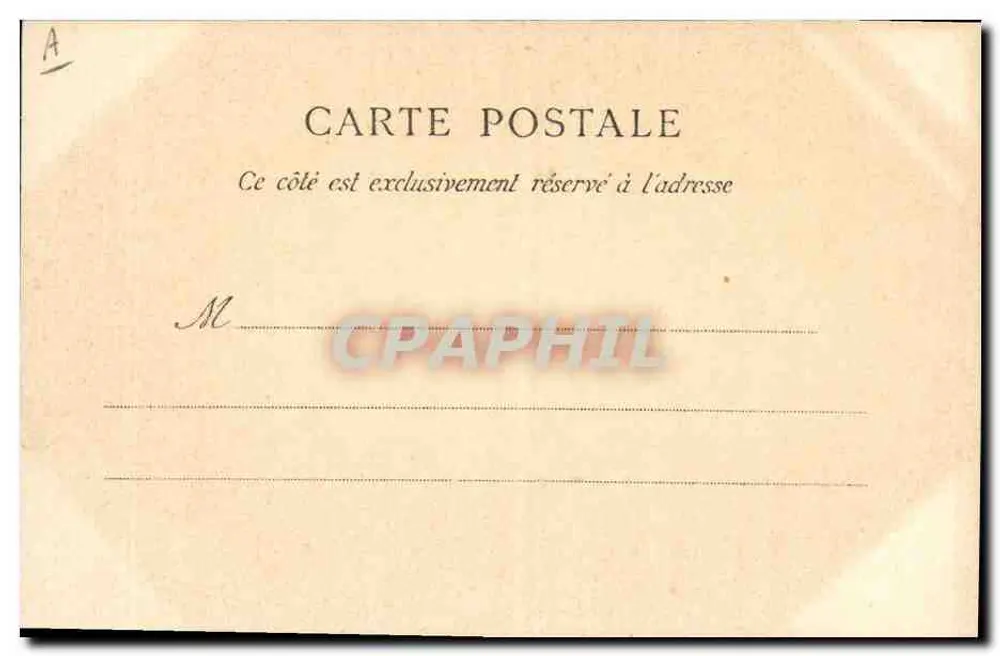 Der « Cassini », Torpedoboot, Flottenspähboot — B. G. — Nr. 504 - Rückseite