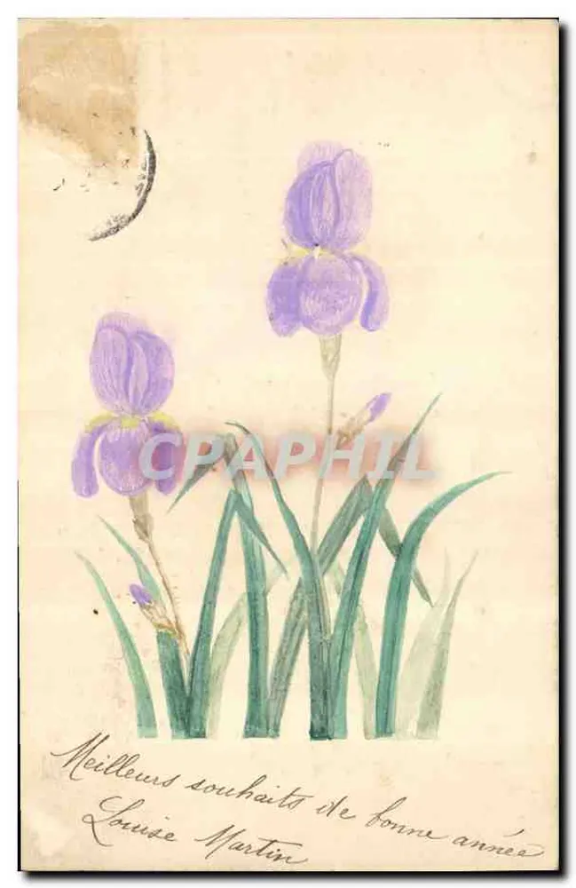Iris — handgemalte Karte — Louise Martin - Vorderseite